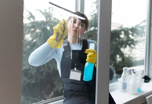 Nettoyage de vitres intérieures et extérieures à Bascous